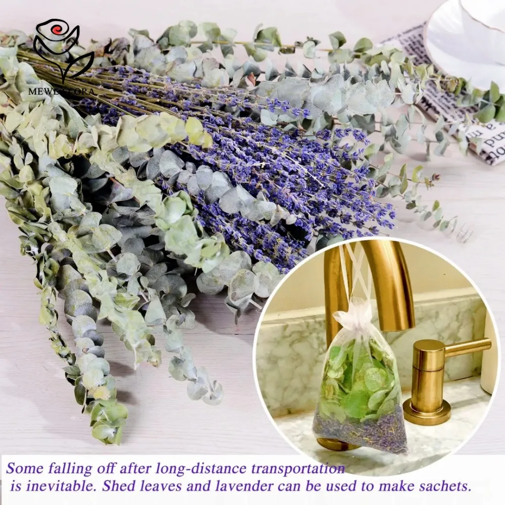 30Pcs Dried Flowers Preserved  - đánh giá và giá Eucalyptus Preserved