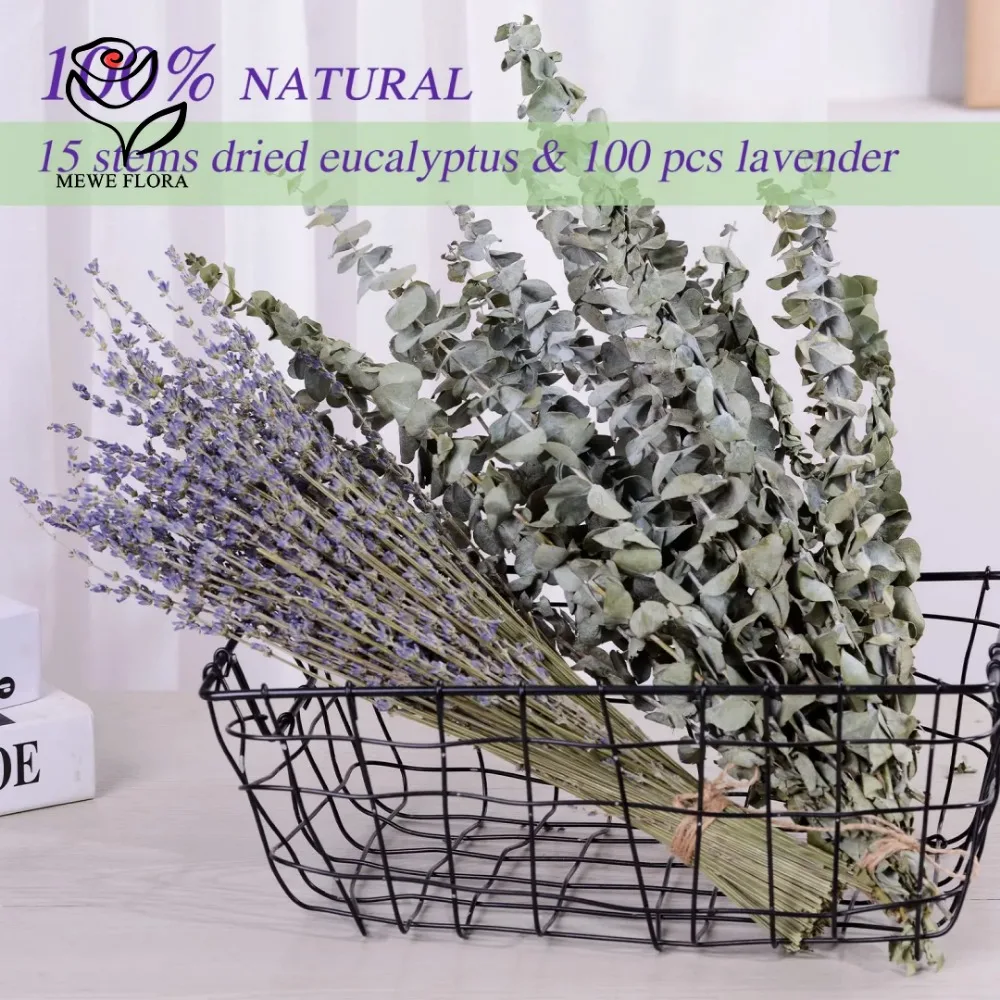 30Pcs Dried Flowers Preserved  - đánh giá và giá Eucalyptus Preserved